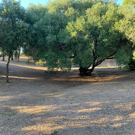 Li Paduleddi Country Guest House Olbia Exterior photo