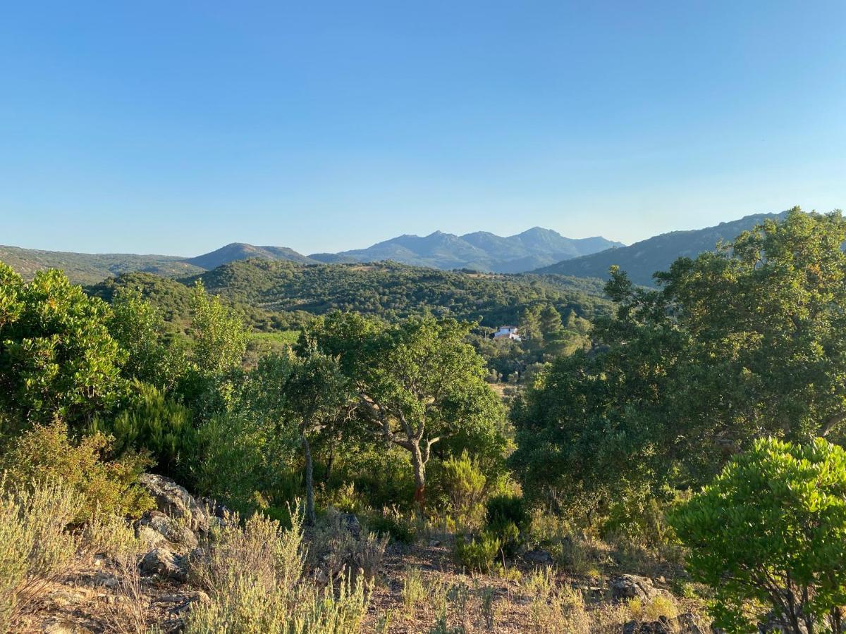 Affittacamere Li Paduleddi Country Olbia