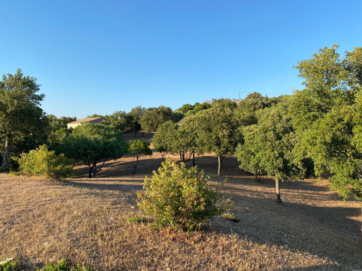 Li Paduleddi Country Olbia