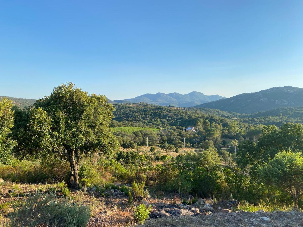 Li Paduleddi Country Olbia